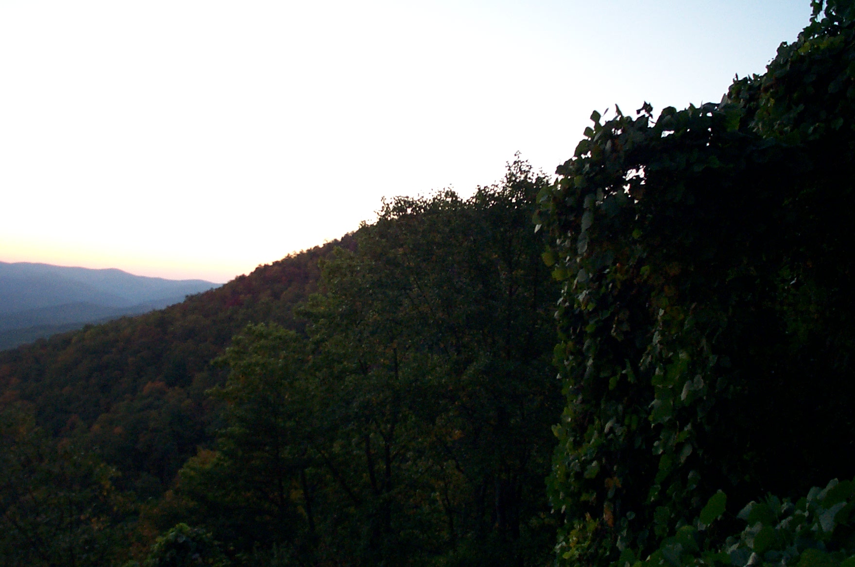 2000 10 15 Amicalola Falls hiking-037