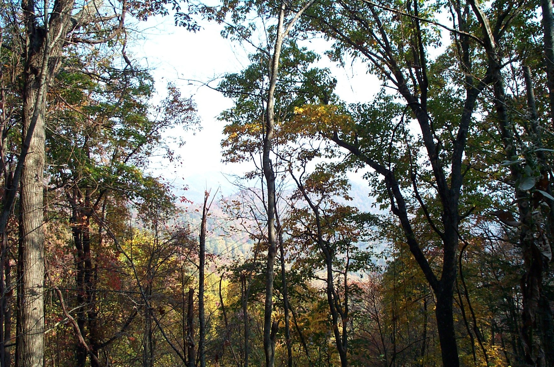 2000 10 23 Backpacking-058