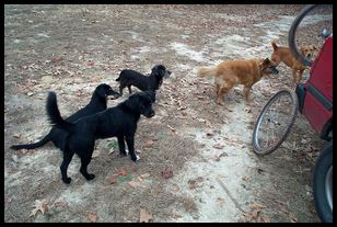 2000 12 09 Newnan Windrige Park riding with John-027