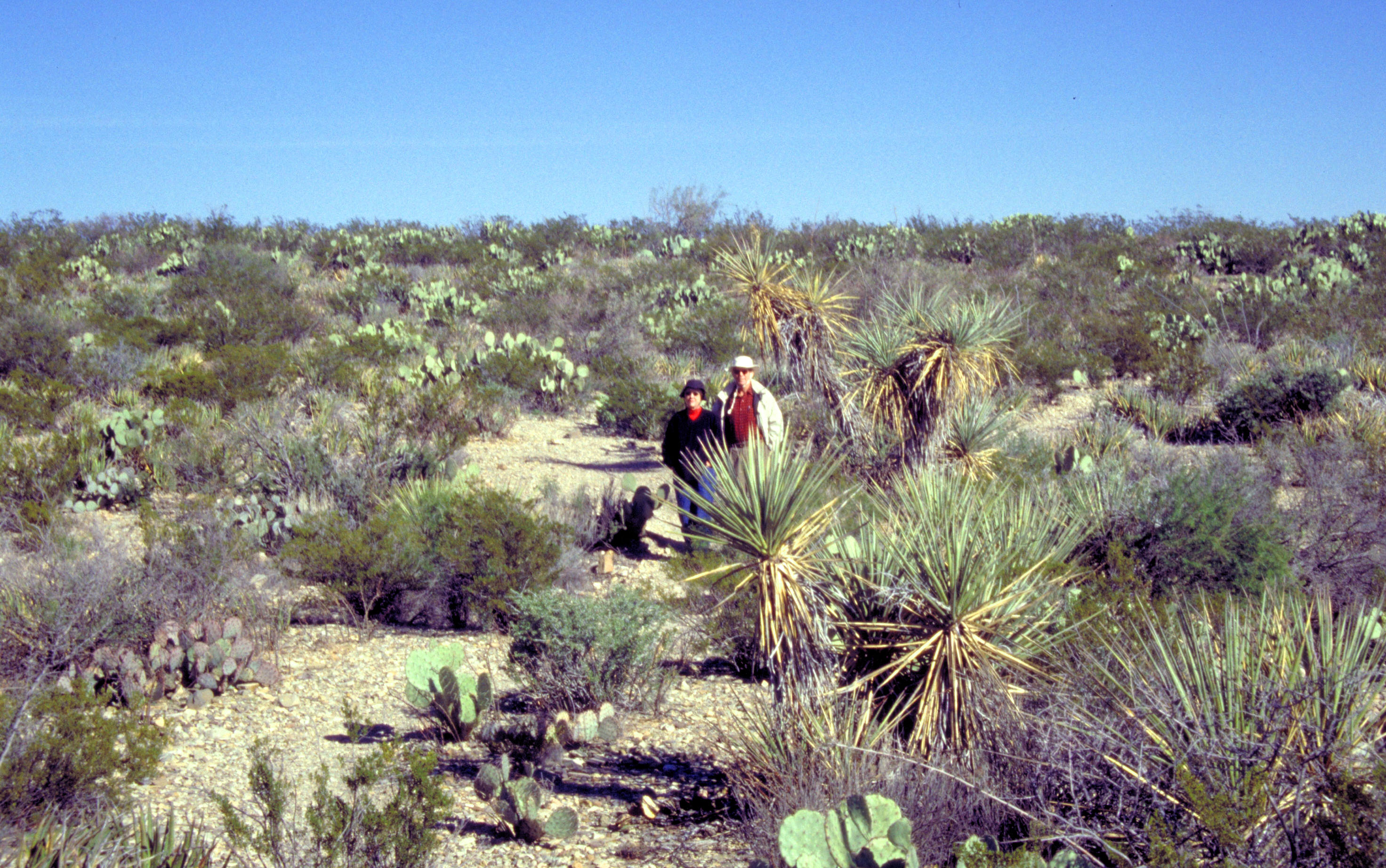 img0029