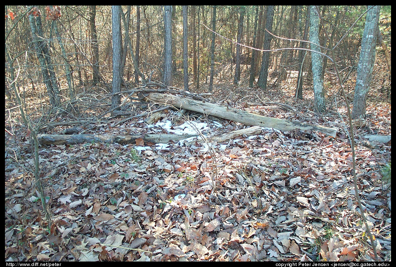 2001 01 06 Chickopee Woods ride-001