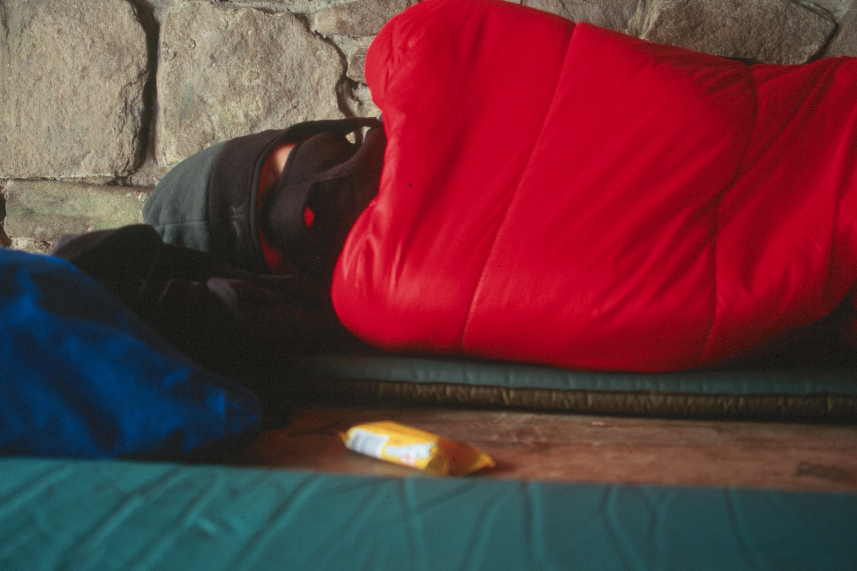 Charlie sleeping in Peck's shelter