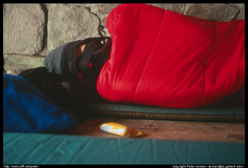 Charlie sleeping in Peck's shelter