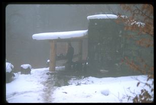 Peck's Corner shelter, viewed from approach trail