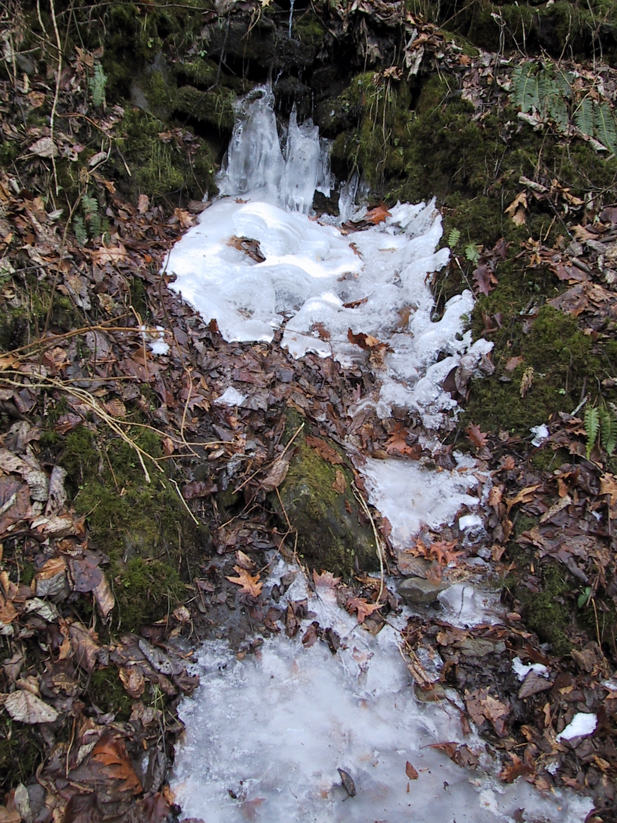 Frozen water 1