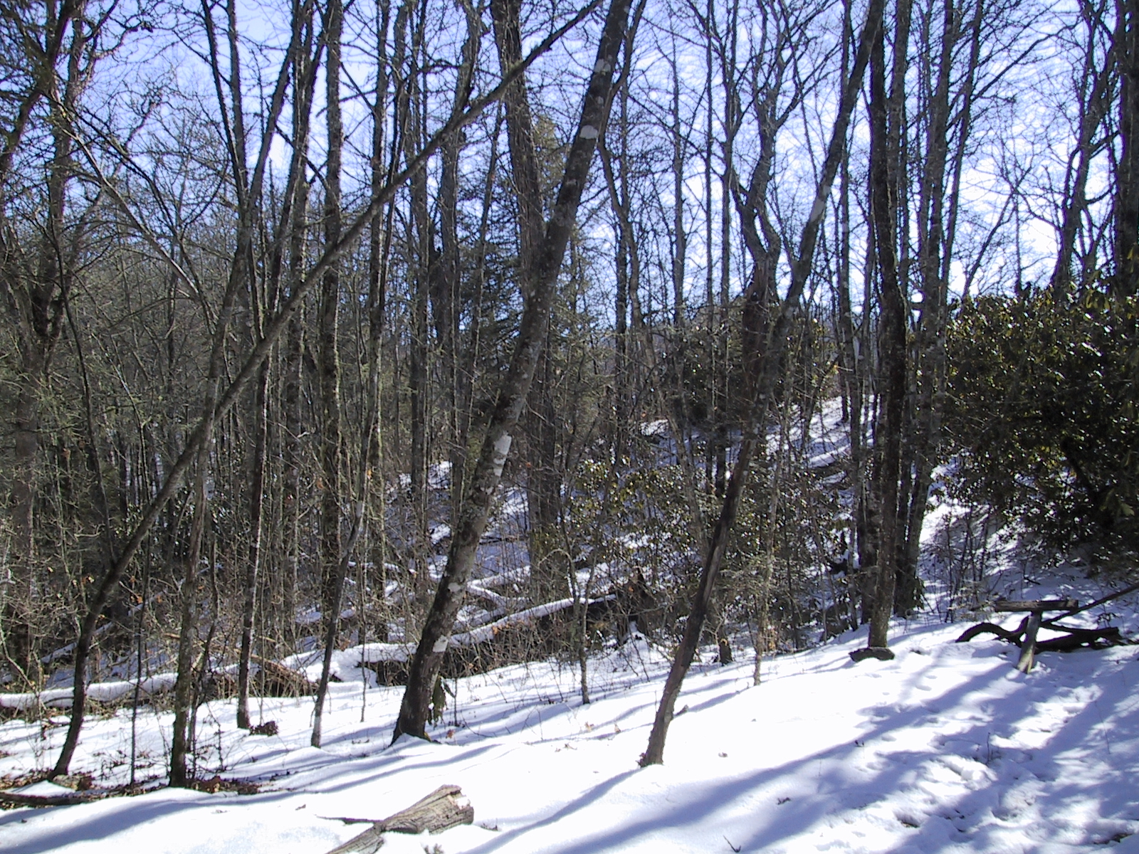 Snowy hill