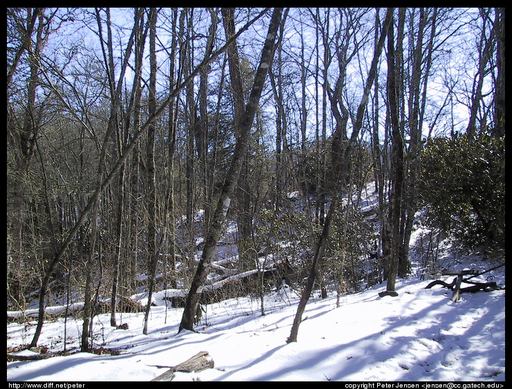 Snowy hill
