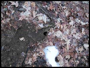 a little animals home  a hole in the ground 