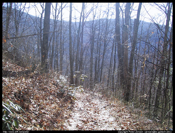 afternoon trail