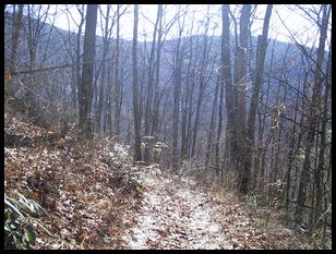 afternoon trail