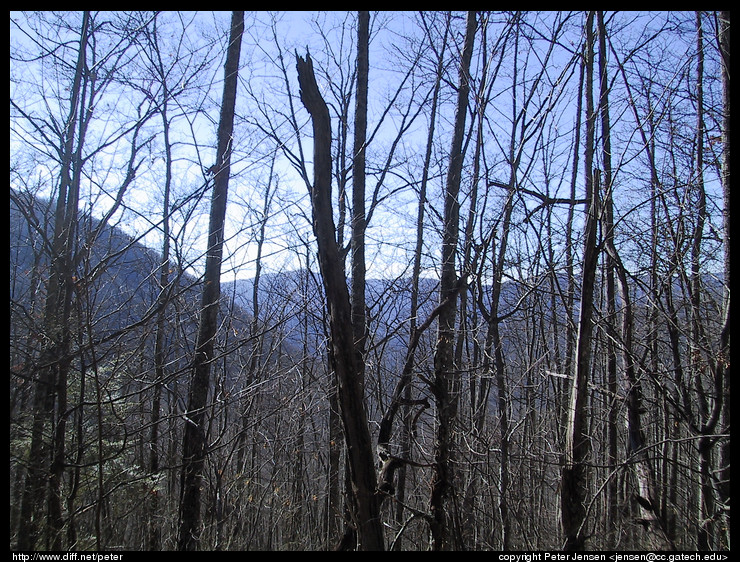 afternoon view of the mountains