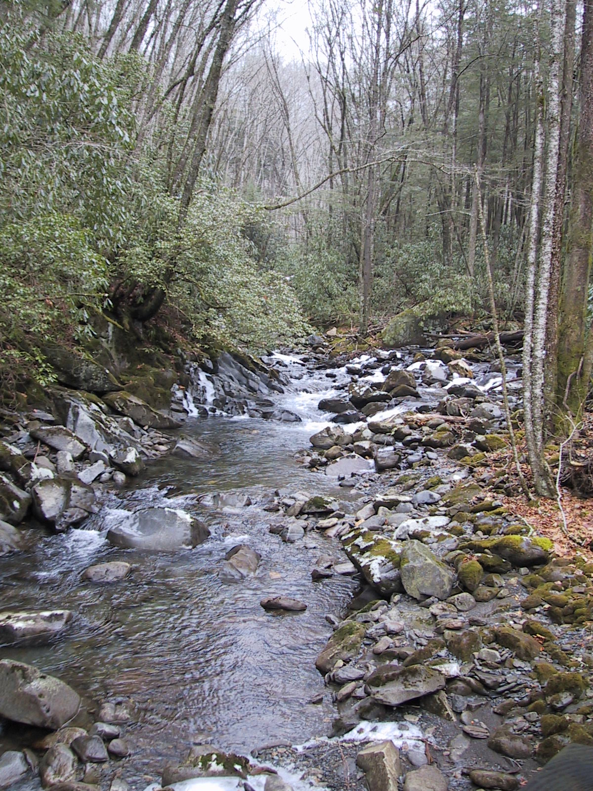 river from bridge 1