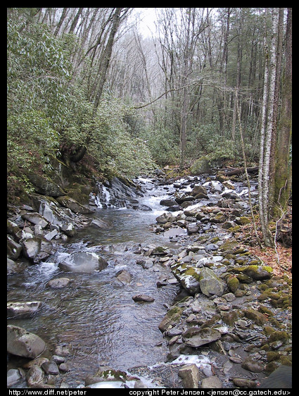 river from bridge 1