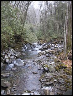 river from bridge 1