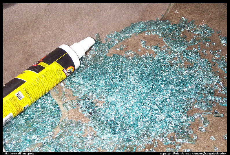 Alex's car after stupid criminals