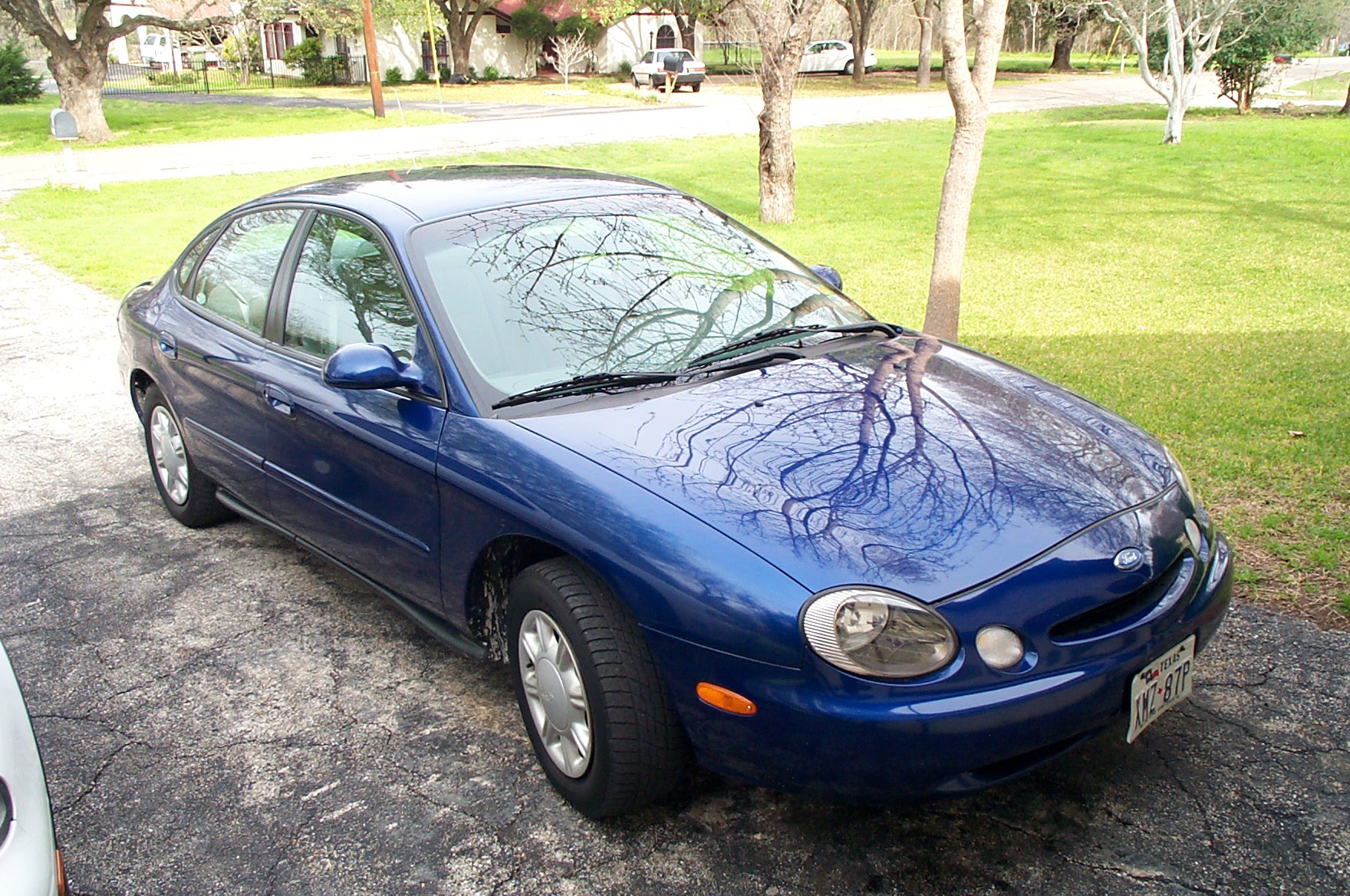 029-blue Taurus