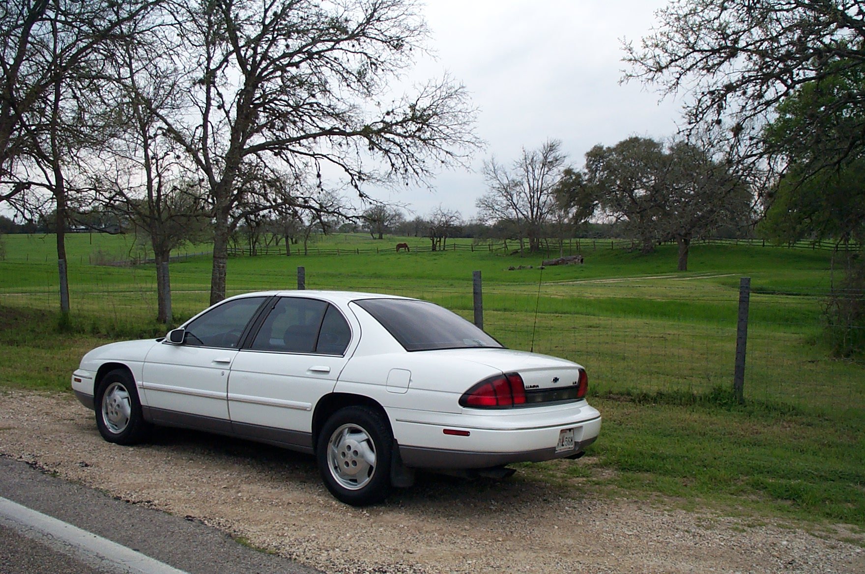 034-1996 Lumina