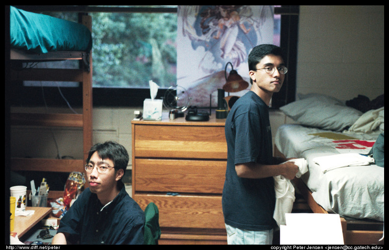 jose hamza-dorm
