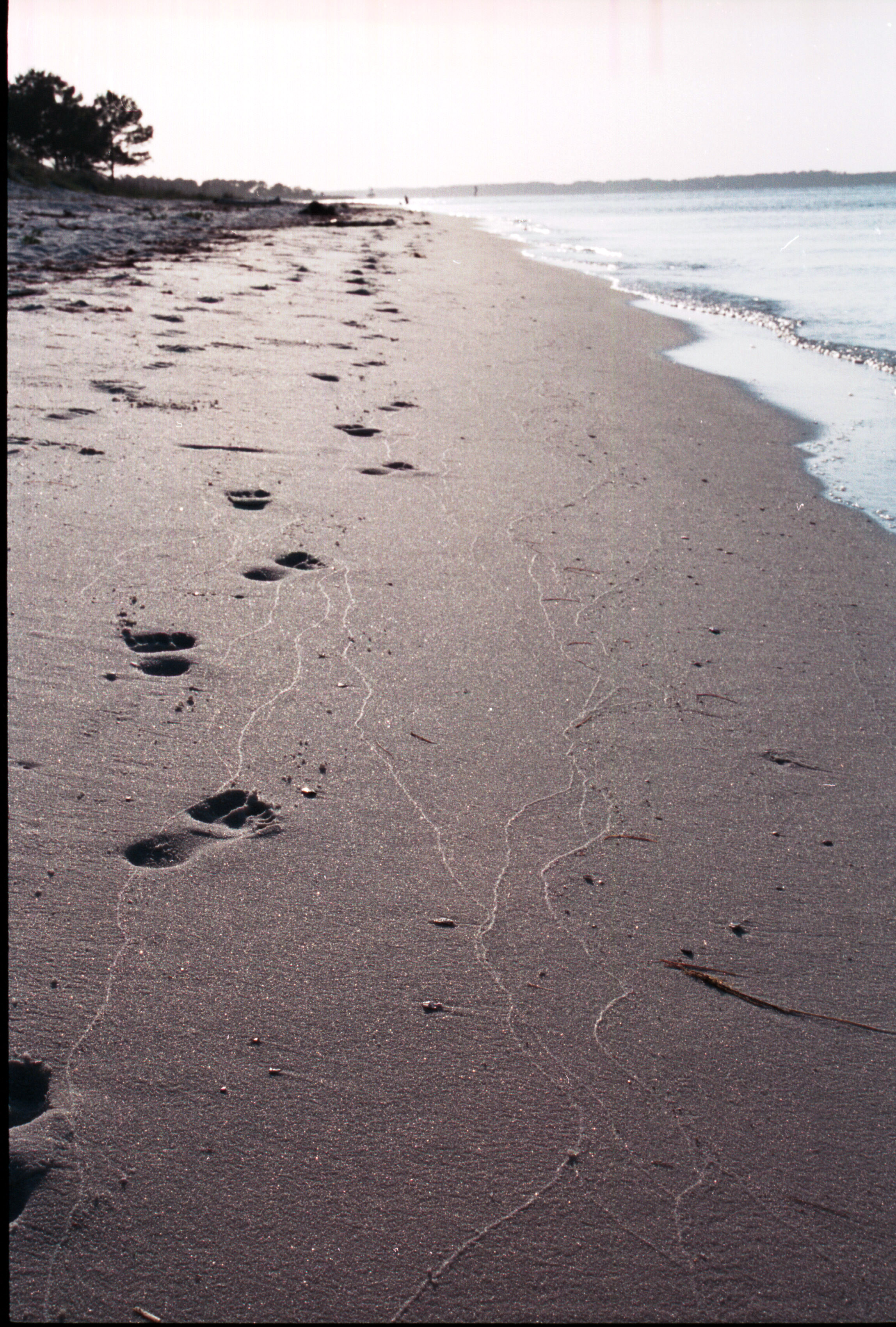 footsteps in the sand