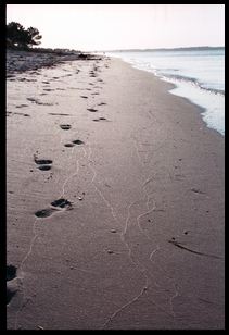 footsteps in the sand