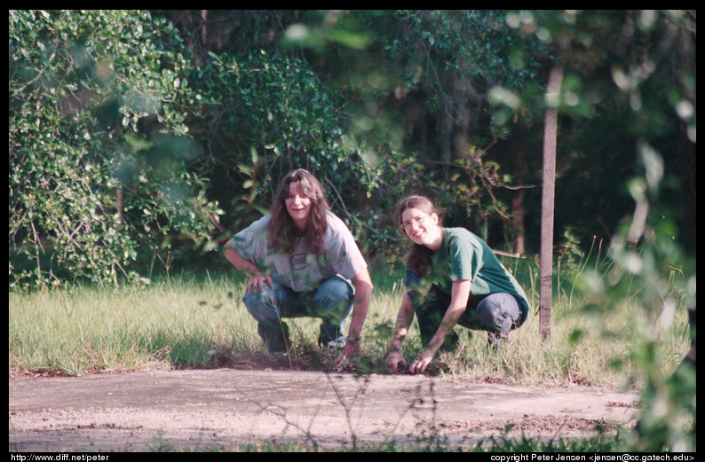 dot and blair 1