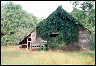 old barn 1