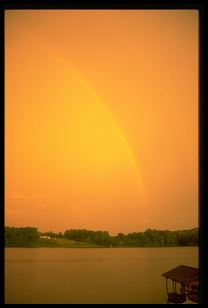 rainbow 4