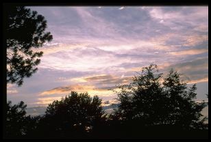 sunset