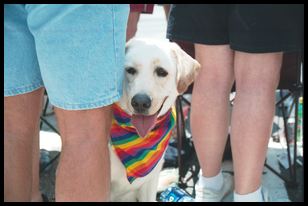 canine pride