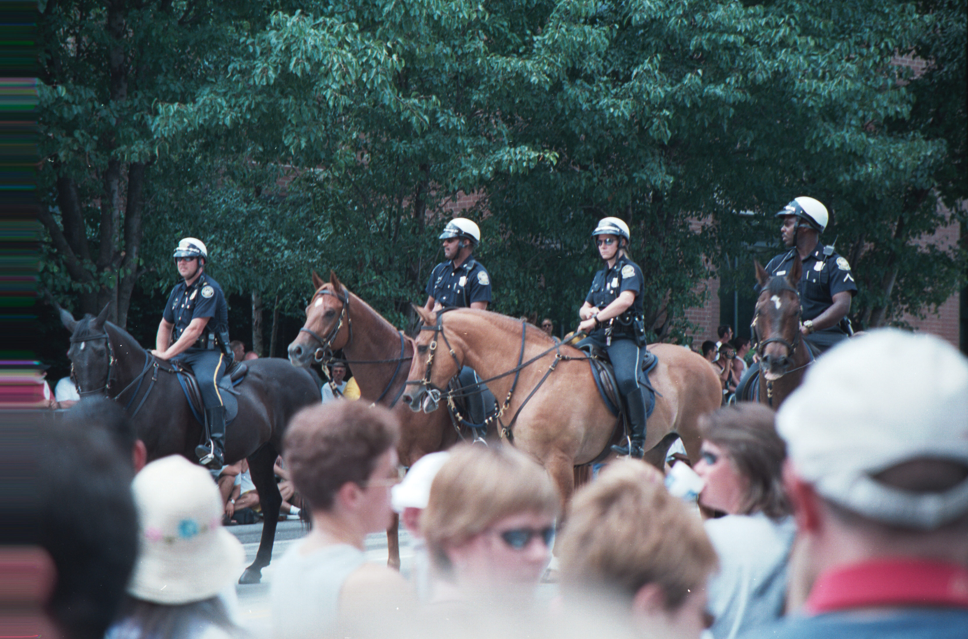 mounted patrol