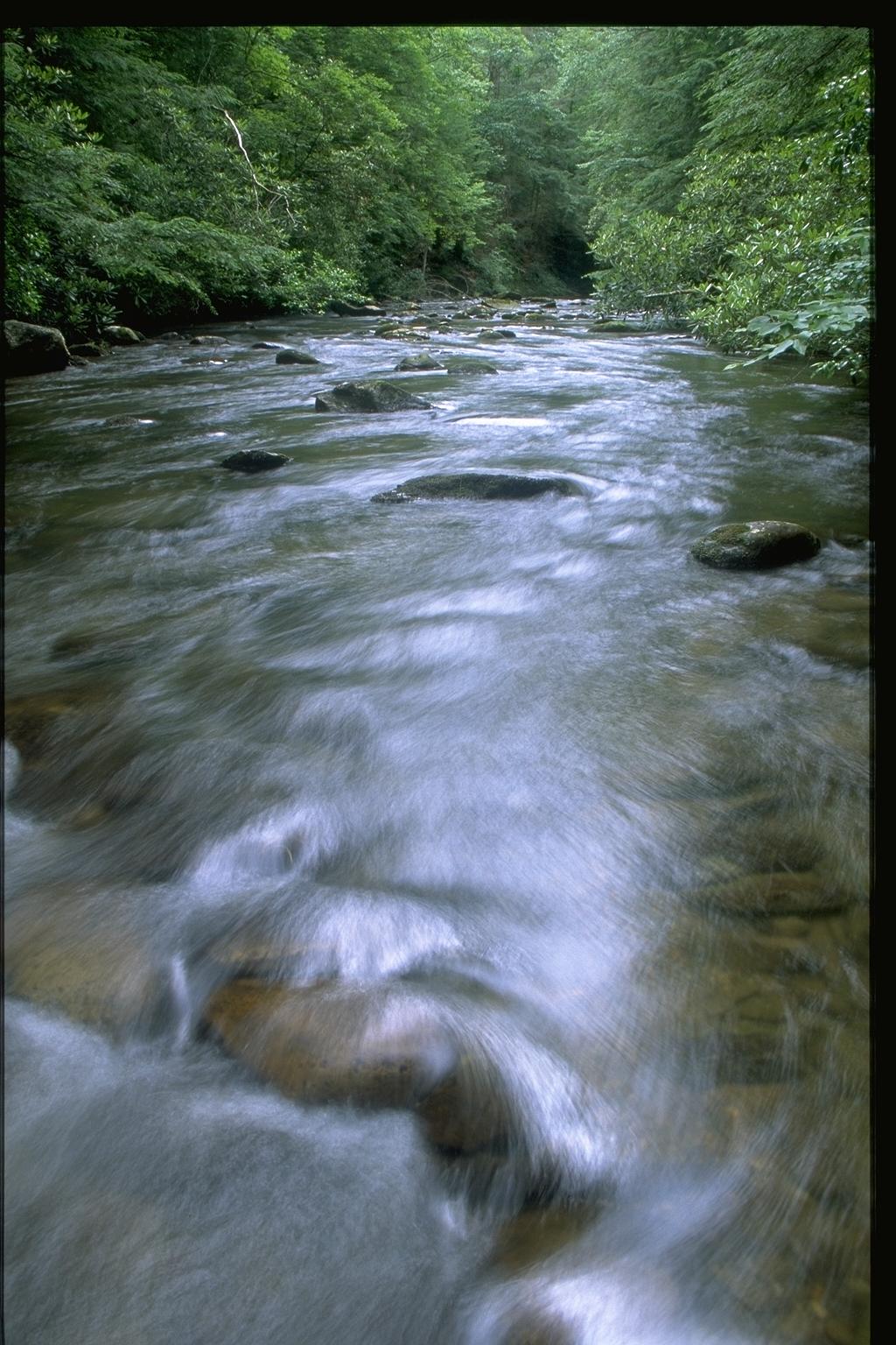 jacks river 2