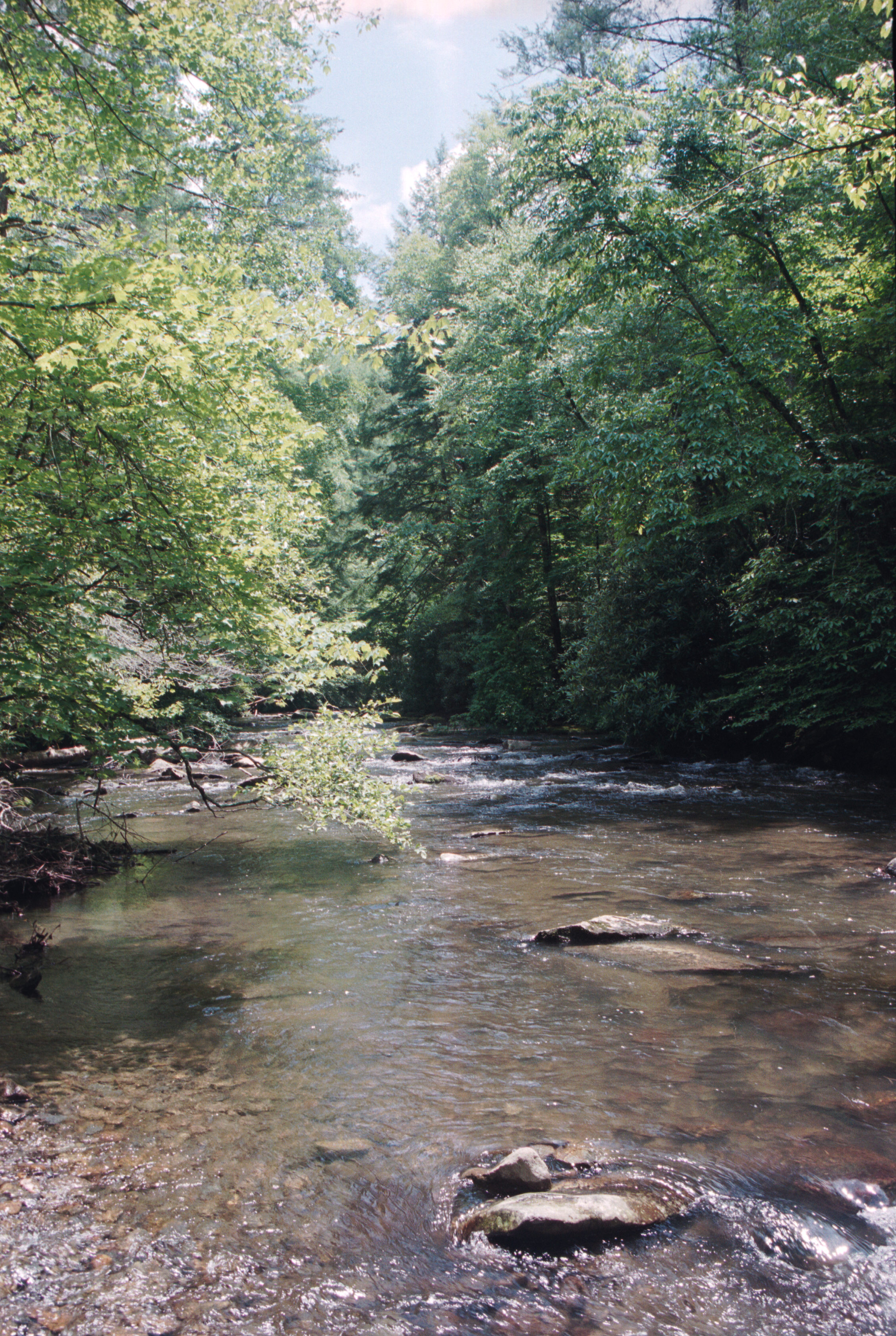 water 1