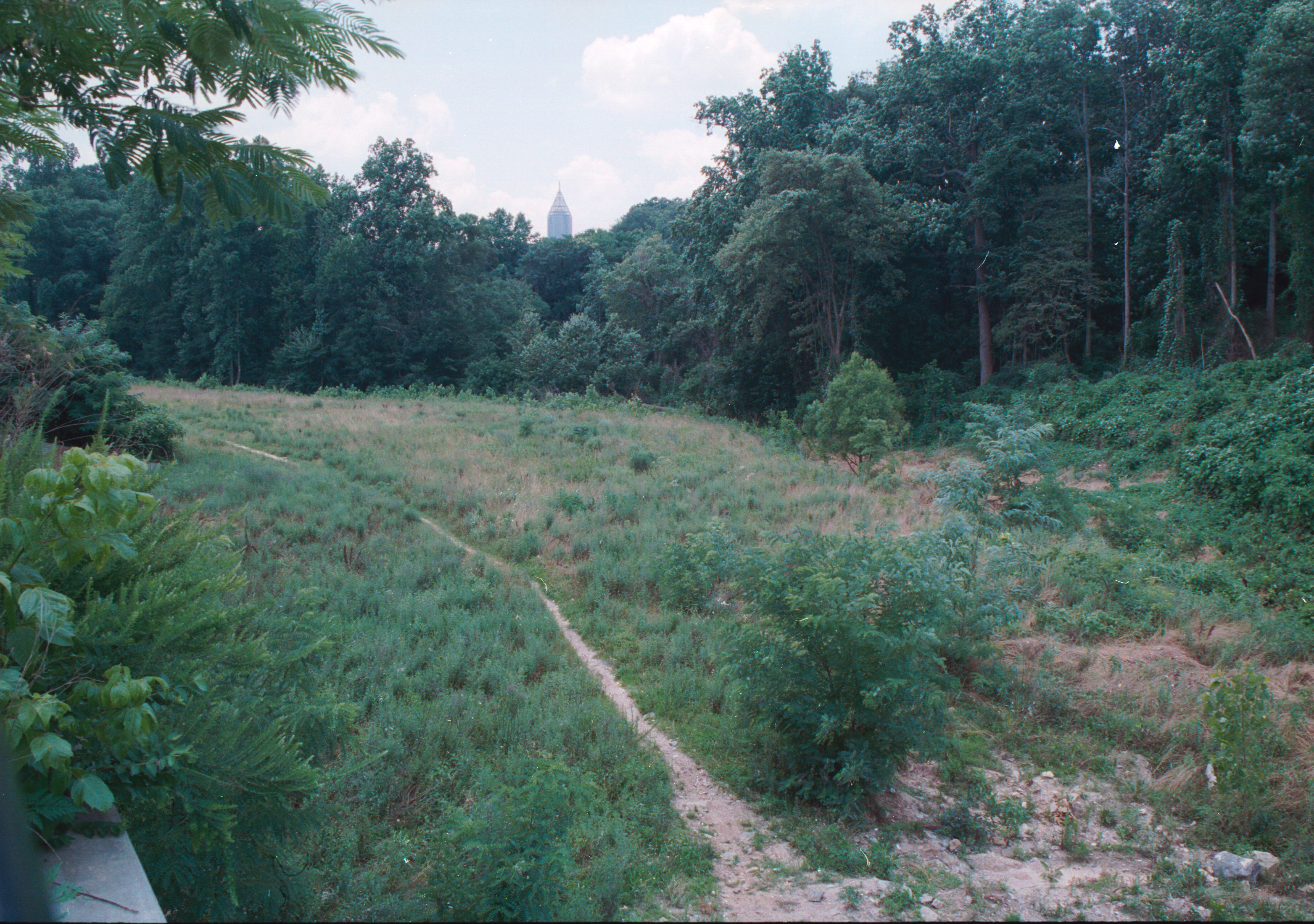 path with bank of amerika bldg