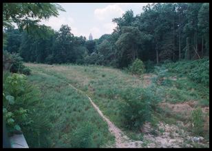 path with bank of amerika bldg