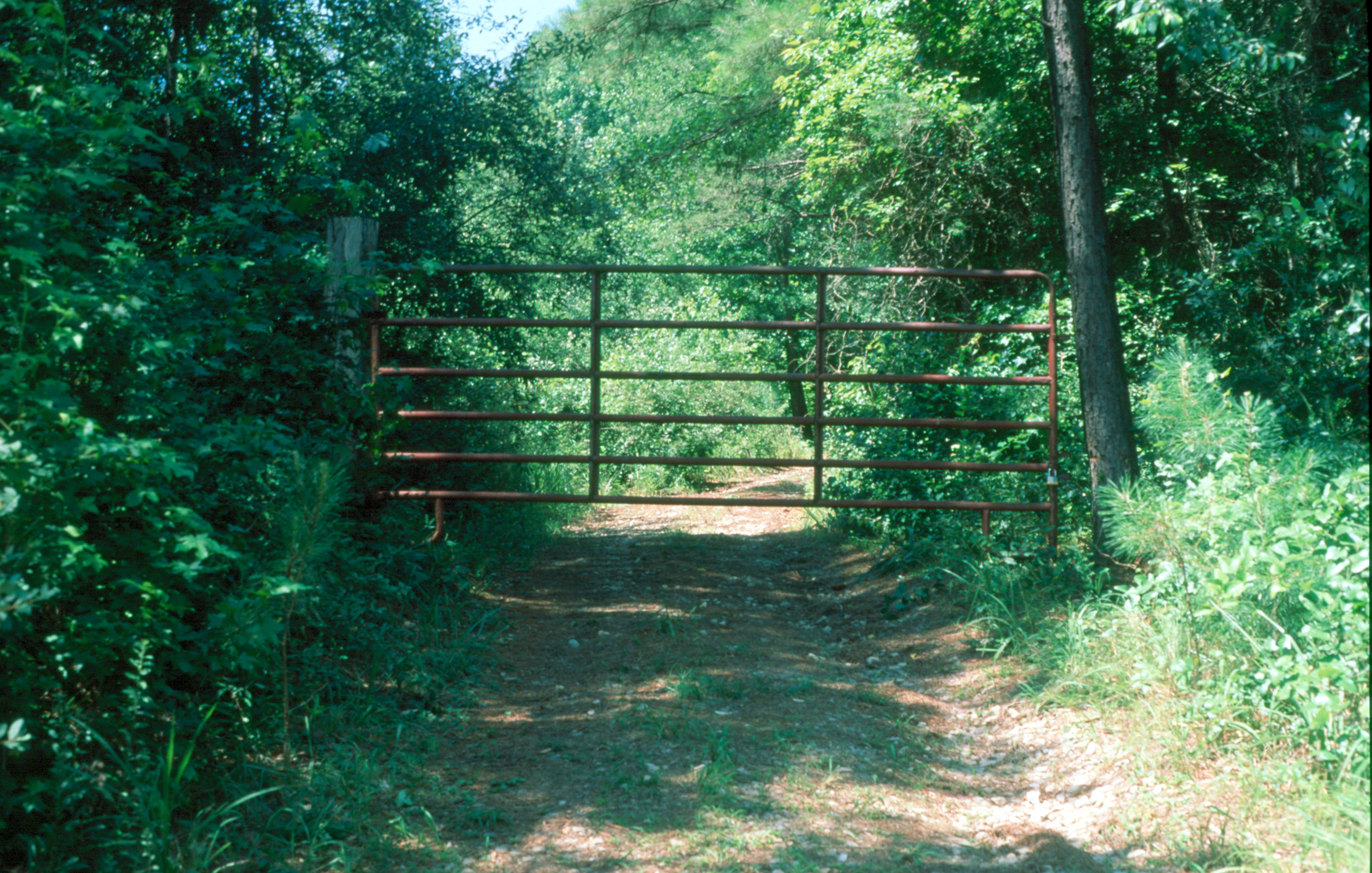 gate at chickopee race course