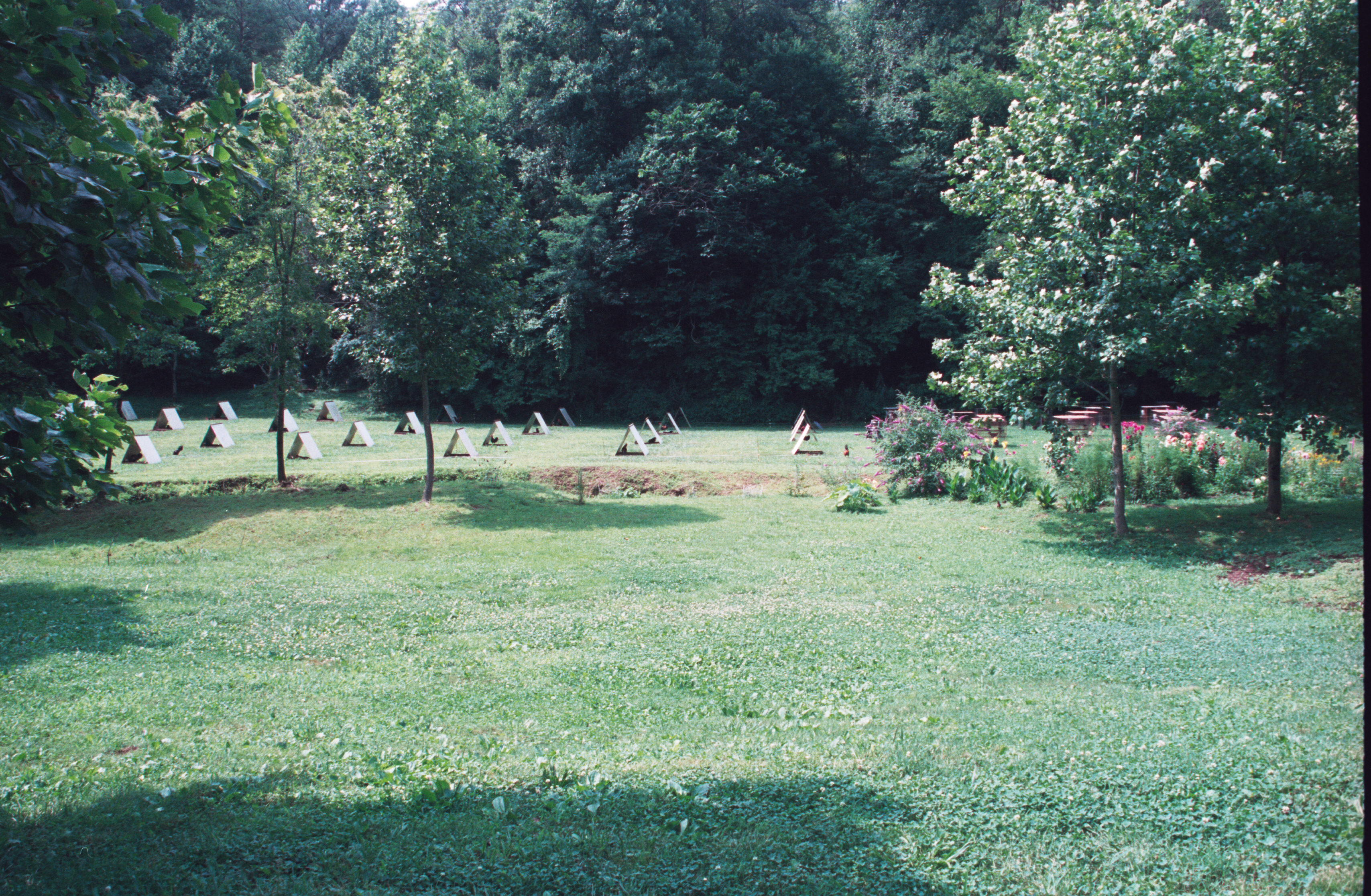 rooster houses