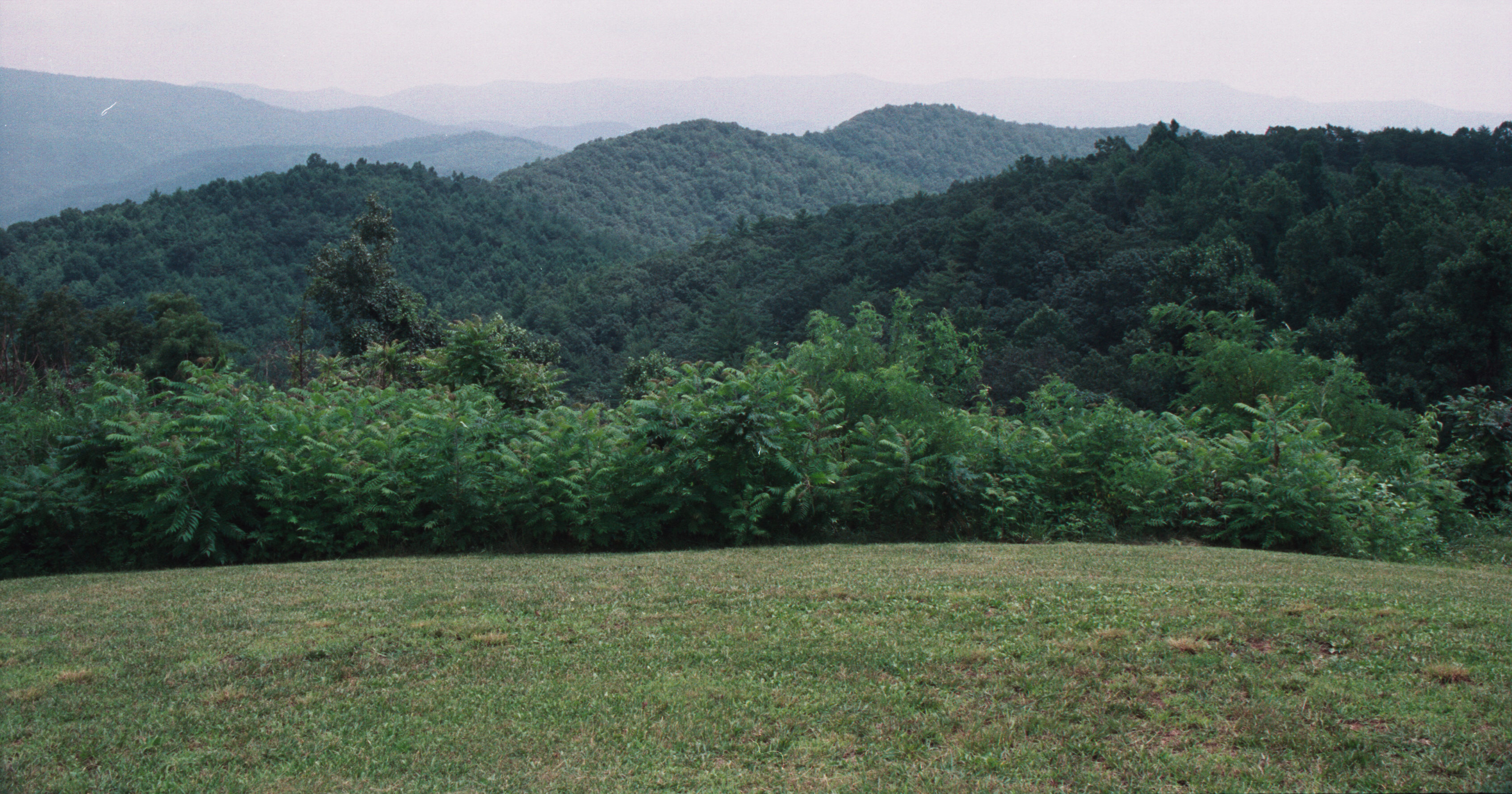 view from overlook
