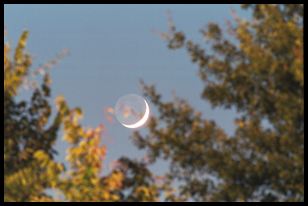 moon with 300 f4 and 1.4x