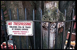 menacing tree
