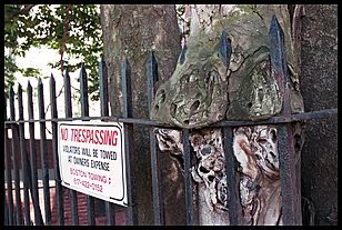 menacing tree