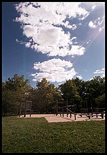 park with polarizer