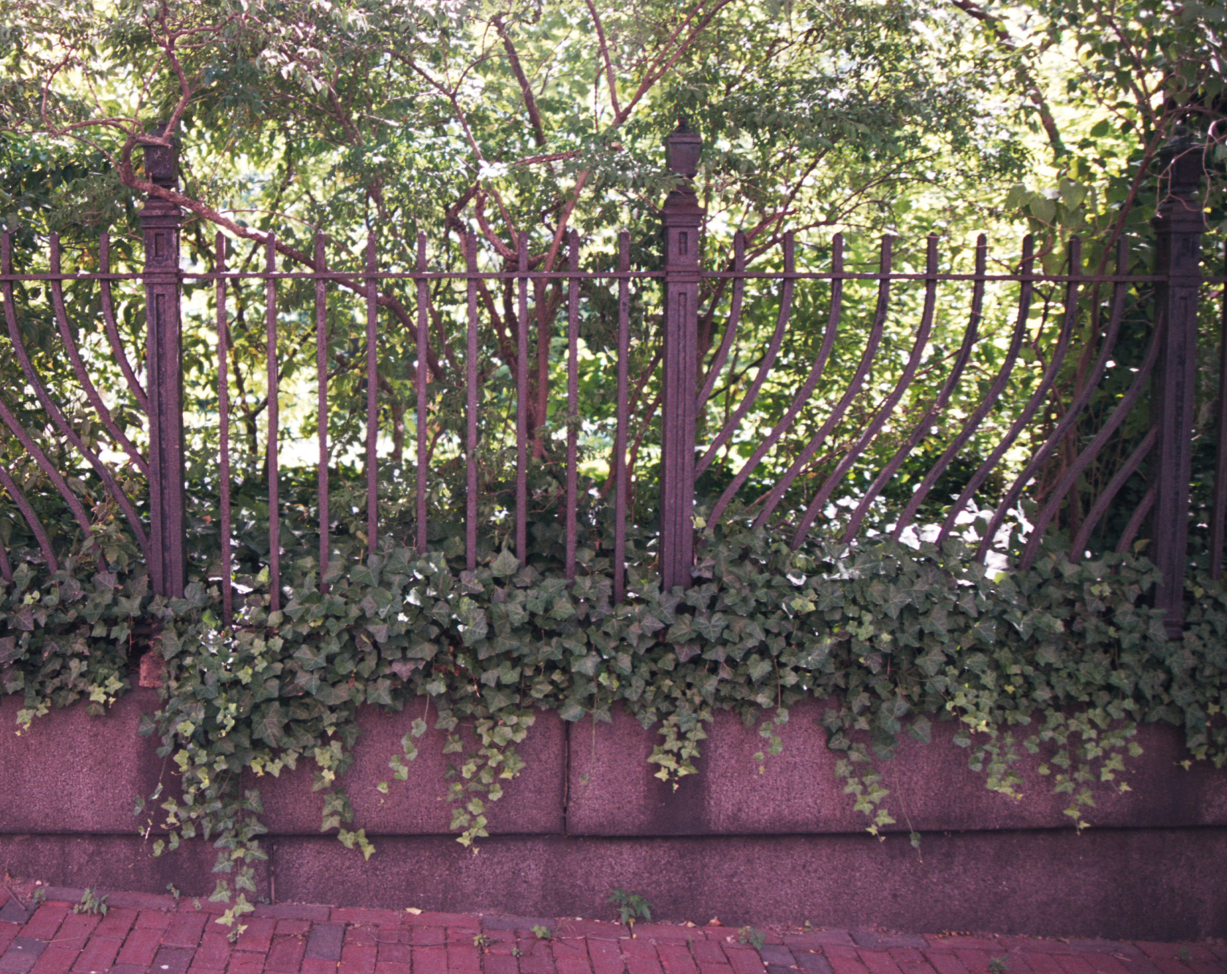 neat ironwork