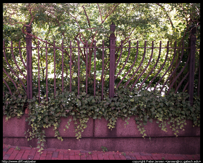 neat ironwork