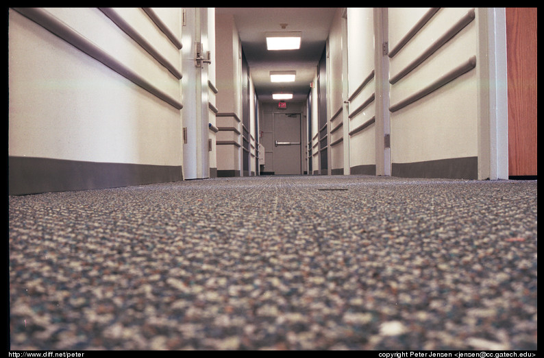 Matheson 2nd hallway on floor