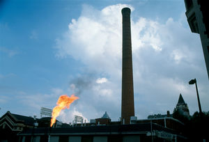 flame towers