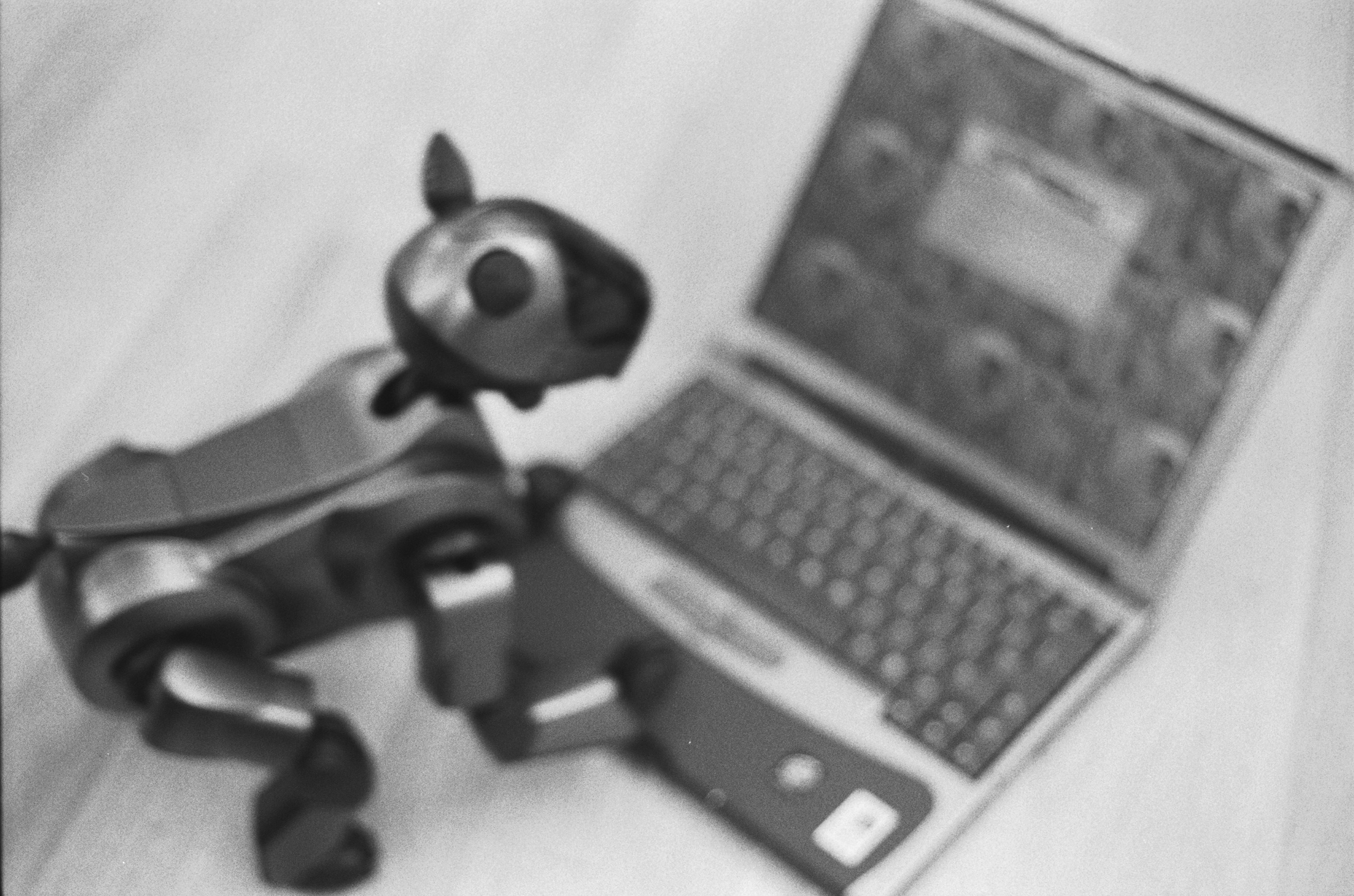 Aibo plays HP