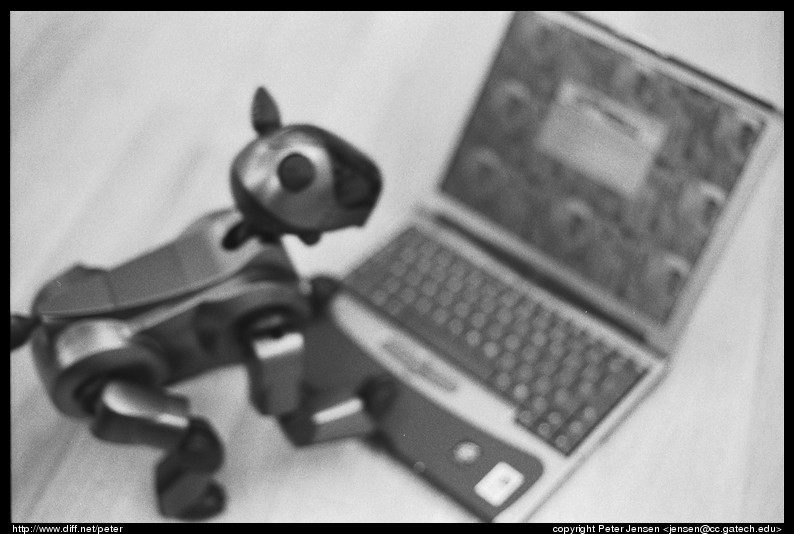 Aibo plays HP