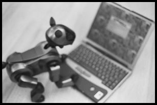 Aibo plays HP