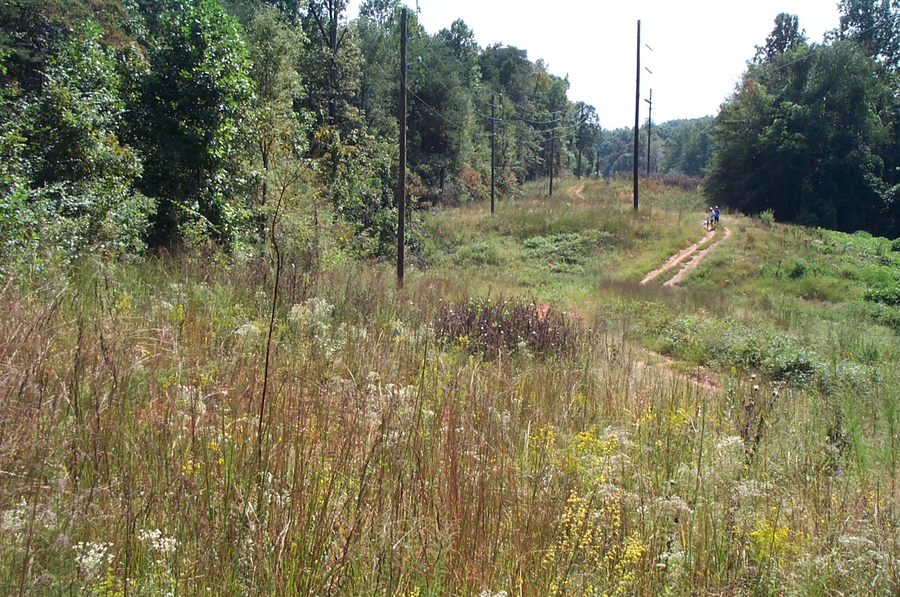 right of way