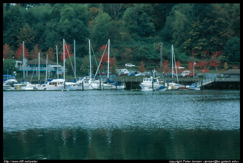 marina